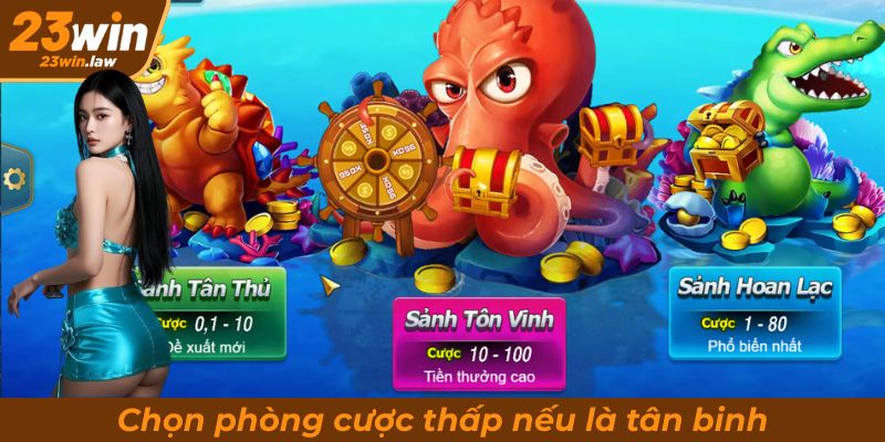 Chọn phòng cược thấp nếu là tân binh