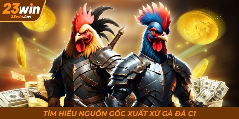 Tìm hiểu nguồn gốc xuất xứ gà đá C1