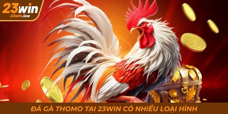 Đá gà Thomo tại 23Win có nhiều loại hình