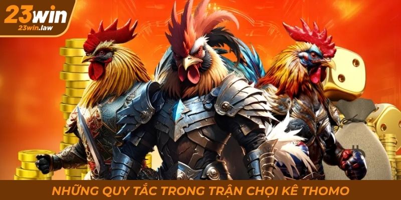 Những quy tắc trong trận chọi kê Thomo