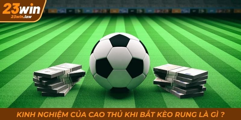 Kinh nghiệm của cao thủ khi bắt kèo rung là gì?